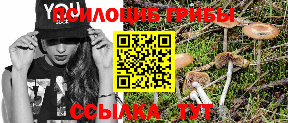 Псилоцибиновые грибы Magic Shrooms Светлоград